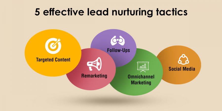 5 Effective Lead Nurturing Tactics   Telloquent